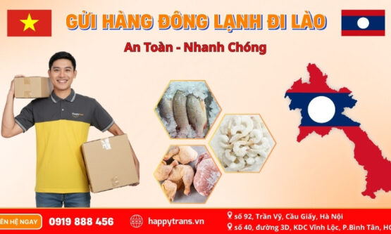 Vận Chuyển Hàng Đông Lạnh Đi Lào
