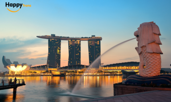 Bảng giá dịch vụ gửi hàng đi Singapore siêu tiết kiệm